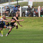 Tigers In Action
