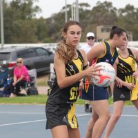 Wadley stars in A-grade debut for Wagga Tigers